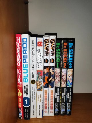 Mangas (PREGUNTAR PRIMERO)