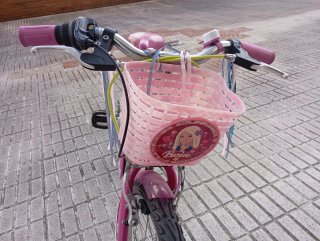 Bicicleta infantil niña rosa