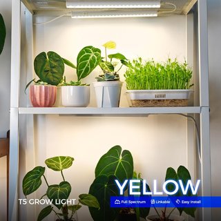 Barrina T5 Luces Cultivo Plantas