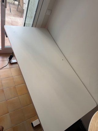 Escritorio con motor Flexispot Blanco 160x80cm