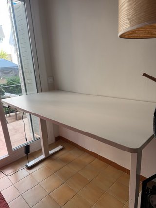 Escritorio con motor Flexispot Blanco 160x80cm