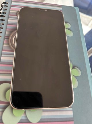 iPhone 12 Pro Max 128 Gb