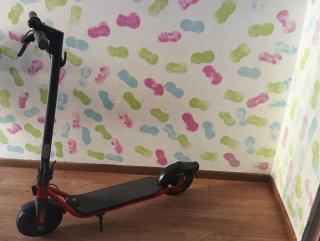 Patinete eléctrico Ninebot
