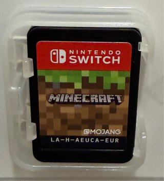 Minecraft Nintendo Switch