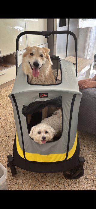 Carrito de viaje plegable para mascotas
