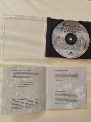 Lote 2 CD Bjørn Lynne - Fantasía Progresiva