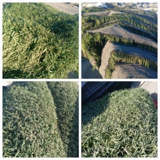 Venta de césped artificial