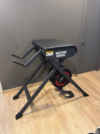 ROGUE Reverse Hyper Extension