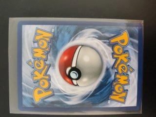 Carta Pokémon Mega Charizard X EX