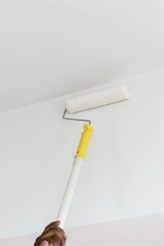 Servicios de Pintura Profesional
