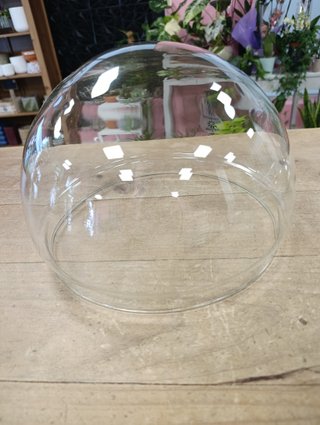 Cúpula de cristal 28x28 cm para terrario