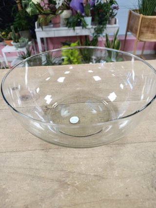 Cúpula de cristal 28x28 cm para terrario
