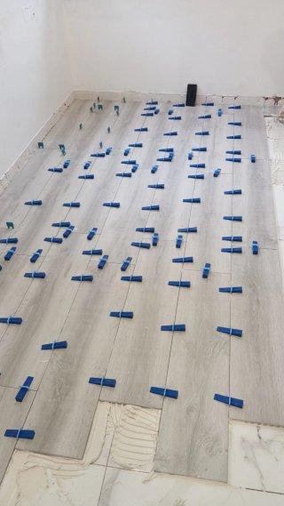 Obras nuevas paletería  enpresario