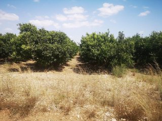 Terreno en venta en San Rafael del Río