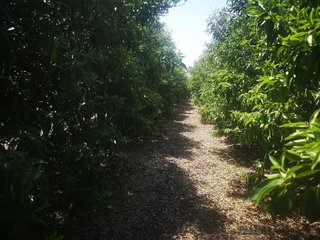 Terreno en venta en San Rafael del Río