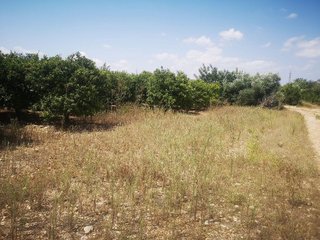 Terreno en venta en San Rafael del Río