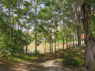 Terreno en venta en Cenes de la Vega