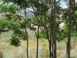 Terreno en venta en Cenes de la Vega
