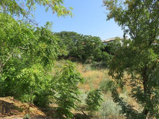 Terreno en venta en Cenes de la Vega