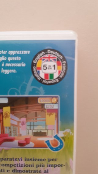 GIOCO NINTENDO DS - PONY LIFE (MULTILINGUA)