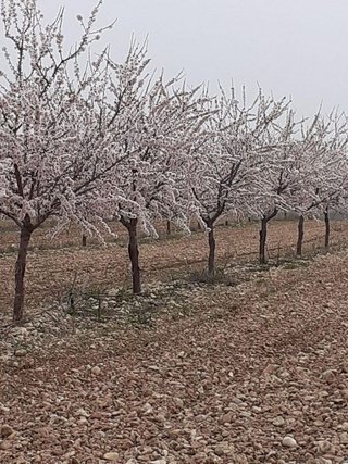 Terreno en venta en Avda Europa - San Antón en Toledo