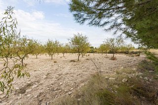 Chalet en venta en Moratalla