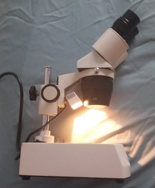 Starblitz Lupa Binocular L2 40X