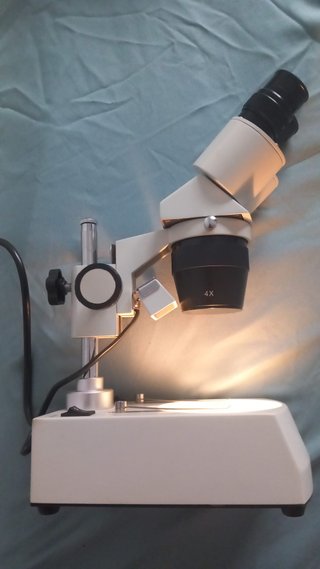 Starblitz Lupa Binocular L2 40X