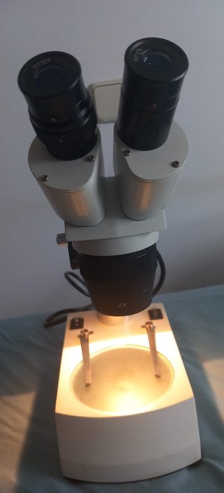 Starblitz Lupa Binocular L2 40X
