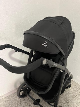 Carrito de bebé Asalvo