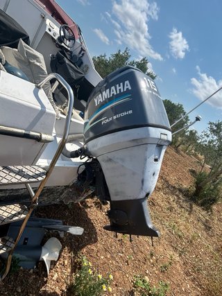 Fueraborda Yamaha F100