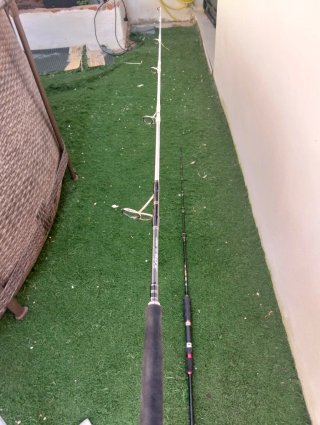 Cañas de jigging