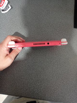 Nintendo Switch Lite Rosa