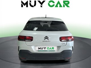 Citroen C4 Cactus PureTech 110 S&S Cool&Comfort 81 kW (110 CV)