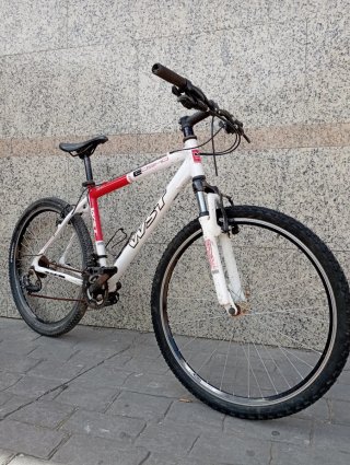 Bicicleta Montaña Aluminio WST