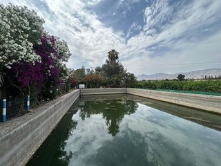Casa rural en venta en Crevillent