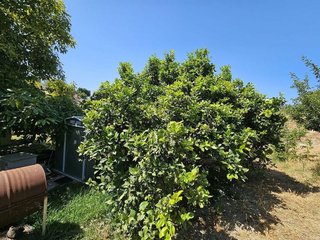 Chalet en venta en Casares