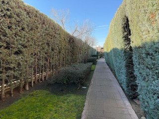 Piso en alquiler en Valdemarín en Madrid