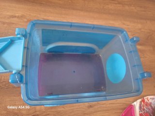 Frozen: Camiseta, Carrito y Set Pintura
