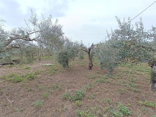 Solar en venta en Villamartín