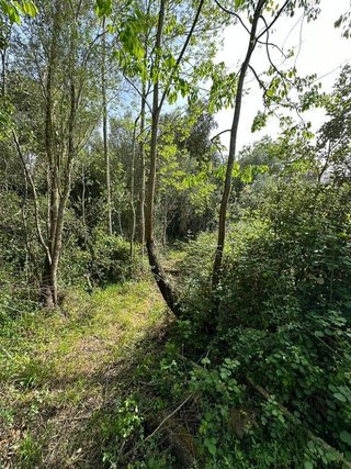 Terreno en venta en Artà en Artà