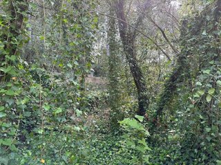 Terreno en venta en Artà en Artà