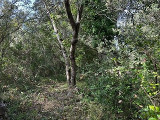 Terreno en venta en Artà en Artà