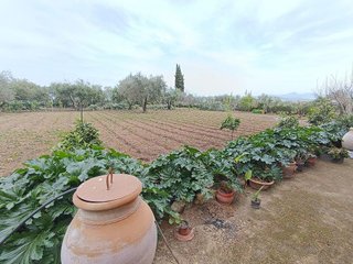 Solar en venta en Villamartín
