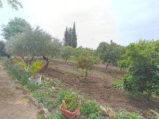 Solar en venta en Villamartín
