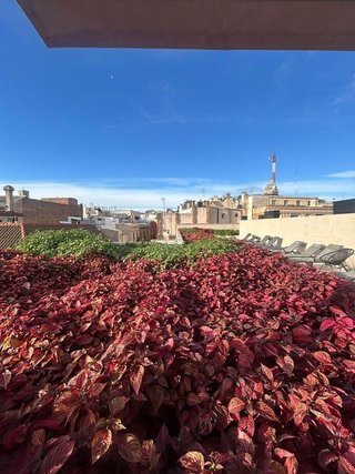 Piso en alquiler en El Gòtic en Barcelona