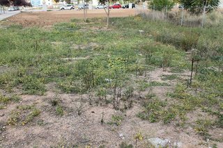 Solar en venta en L'Hostal - Lledoner en Granollers