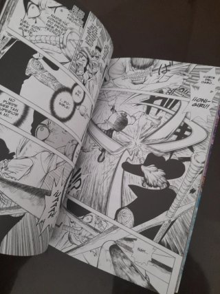 One Piece Episodio A completo