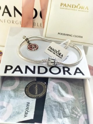 Pulsera Pandora 19cm Plata