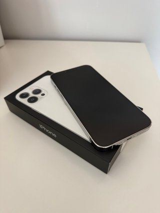 iPhone 13 Pro Max Nero/Argento